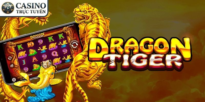 Lựa chọn đặt cược cơ bản
